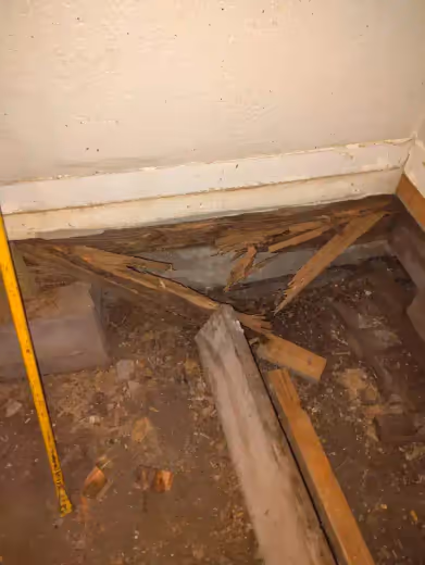 The Floors Were Collapsing project image