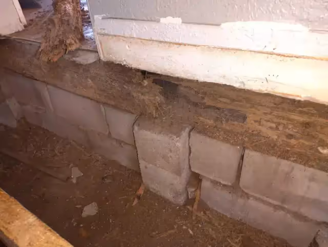 A previous contractor already attempted this repair. It failed. project image